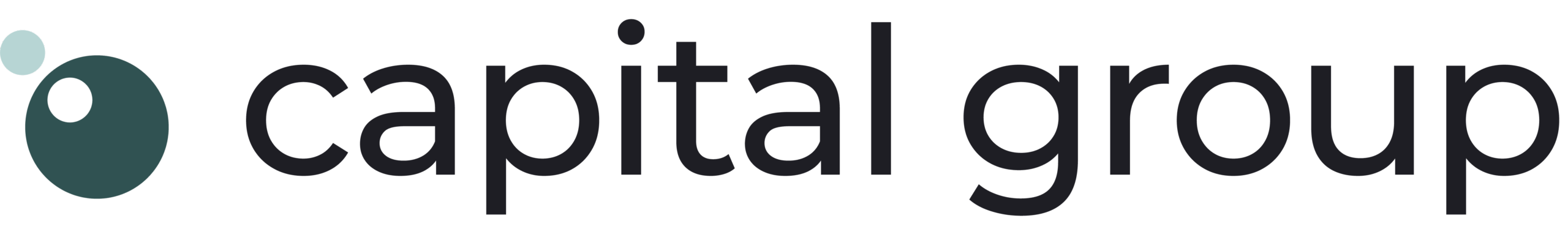 CapitalGroup_ZwartGroen